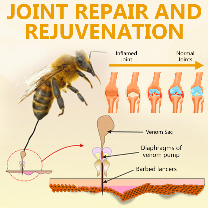 Ceoerty®BeeRevive Joint & Bone Healing Cream🌟